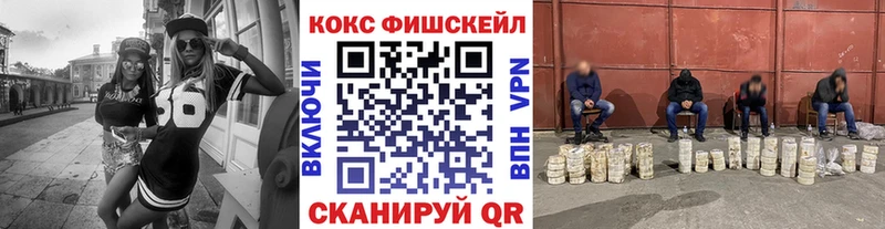 COCAIN Fish Scale  Купить где  Грязовец 