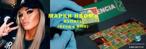 шишки Балахна