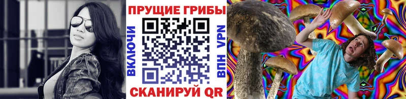 Галлюциногенные грибы Cubensis  Купить  Грязовец 